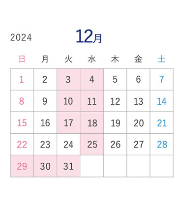 2024年12月